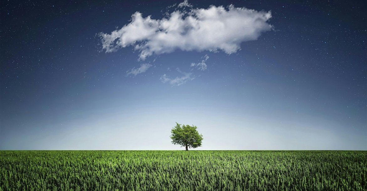 Wiese mit Baum und einer Wolke (Cloud)